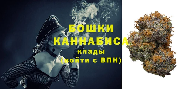 шишки Аркадак