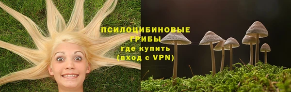 дурь Белоозёрский
