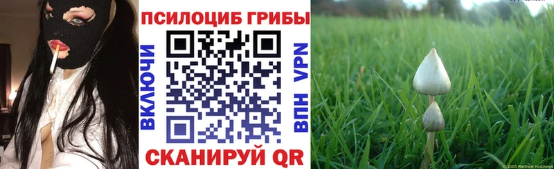 Псилоцибиновые грибы мицелий  KRAKEN вход  Белёв 