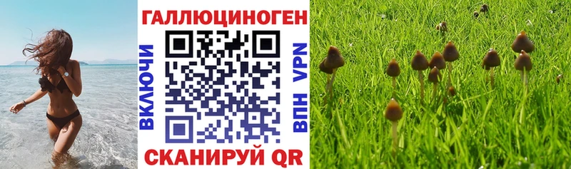 Галлюциногенные грибы мицелий Белёв